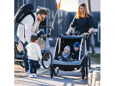 10102001 Lastenkuljetusperaekaerry THULE Courier sininen Aegean Blue ebikeparts 4 image