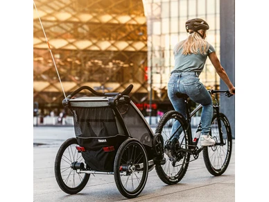 10203021 Lastenkuljetusperaekaerry THULE Chariot Lite 1 Agave ebikeparts 1 image