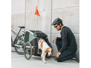 800000 Thule Bexey M Hazy Green Koirankuljetuskarry polkupyoraan 4 image