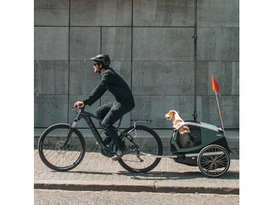 800000 Thule Bexey M Hazy Green Koirankuljetuskarry polkupyoraan 5 image