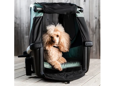 800000 Thule Bexey M Hazy Green Koirankuljetuskarry polkupyoraan 6 image