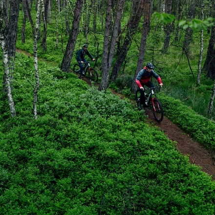 Ulkorenkaat Pyoran renkaat Continental polkupyoran renkaat ebikeparts fi